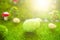 One Green Easter eggs on meadow in Dreamland or fairy world