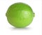 One green isolated beautiful lime