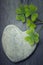 One grey heart shaped rock with green shamrocks