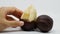 One half-peeled salak or snake fruit taken by a woman\'s hand