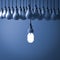 One hanging eco energy saving light bulb glowing and standing out from unlit incandescent bulbs on dark blue background