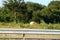 One hay roll in a mowed field. Behind the highway guardrail. Trees, meadow and sky in the background