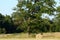 One hay roll in a mowed field. Trees, meadow and sky in the background