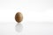 One hen or chicken egg isolated on white background with reflex on glass