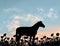 One horse stands on the lawn full of camomile flowers. Countryside meadow at the sunset. Simple silhouette illustration