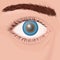 One human eye close up with blue iris