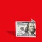 . one hundred dollar bill on a red background, a creative trend idea