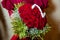 One hundred of garden red roses. Color passionately scarlet, Autumn mood. bouquet in a hat box . Henna . flower is a letter Z with