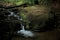 One image in the forest with smooth river in the middle. Untouched place.