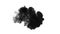One ink flow, infusion black dye cloud or smoke, ink inject on white in slow motion. Black gouache splatters in water
