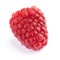 One juicy raspberry on white background