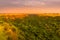 One kilometer long and 100 meters deep Kyambura Gorge in the Queen Elizabeth National Park at sunset that is a home for chimanzees