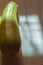 One large courgette lies in the shade on a wooden white background