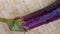 One large purple eggplant, ready to be made into vegetables