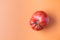 One large red tomato on a colored terracotta background. Ugly food