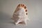 One large sea shell Cassis cornuta