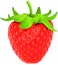 One large strawberry isolated over white