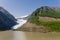 One leg of Bear Glacier above Strohn Lake