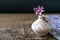 One lilac flower Xeranthemum on clay vase on wooden texture back