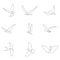 One line bird set. Birds collection. Hand drawn vector illustration