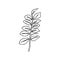 One Line branch plants. Continuous line Leaves Of The Plant In a Modern Minimalist Style. Vector Illustration