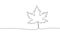 One line continuous canadian maple leaf symbol concept. Silhouette autumn leaves acer tree. Digital white single line