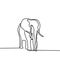 One line drawing, elephant vector illustration. Abstract wildlife animal minimalism style. Continuous hand drawn isolated on white