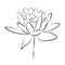 One line drawing flower, vector illustration