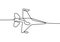 One line drawing of jet plane f-16. Aircraft continuous hand drawn minimalism, vector illustration