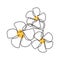 One line drawing of Plumeria flower minimalist design yellow and white flowers hawaiian, balinese, and tropical theme