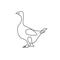 One line drawing. Vector image of a goose. Minimalistic style.