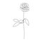 One line hand drawn rose. Long stem rose. Single line flower. Vector illustration