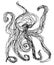 One line octopus, doodle