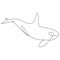 One line orca silhouette. Killer whale vector illustration