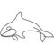 One line orca silhouette. Killer whale vector illustration