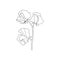 One line orchid flower logo. Simple floral drawing minimalist botanical art  vector continuous line illustration