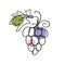 One line organic grapes drawing, vineyard logo design