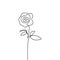 one line rose flower minimalism drawing vector illustration floral art design