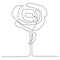 one line rose flower minimalism drawing vector illustration floral art design