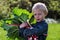 One little preschool boy who have Harvest one great bunch of rhubarbs in the garden on a sunny spring day.