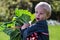 One little preschool boy who have Harvest one great bunch of rhubarbs in the garden on a sunny spring day.