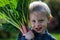 One little preschool boy who have Harvest one great bunch of rhubarbs in the garden on a sunny spring day.