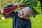 One little preschool boy who have Harvest one great bunch of rhubarbs in the garden on a sunny spring day.