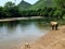 One lone elephant by itself by the Khwae Yai river at the Elephant World sanctuary outside of Kanchanaburi, Thailand.