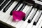 One lone rose petal of pink scarlet lies on black and white piano keys. romantic music, lightness and romance of relaxation and