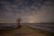 One lone tree on the lake shore at night with starry skies and clouds. Access road to the lake