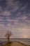 One lone tree on the lake shore at night with starry skies and clouds. Access road to the lake