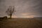 One lone tree on the lake shore at night with starry skies and clouds. The northern lights are visible on the horizon. Access road