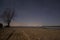 One lone tree on the lake shore at night with starry skies and clouds. The northern lights are visible on the horizon. Access road