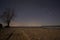 One lone tree on the lake shore at night with starry skies and clouds. The northern lights are visible on the horizon. Access road